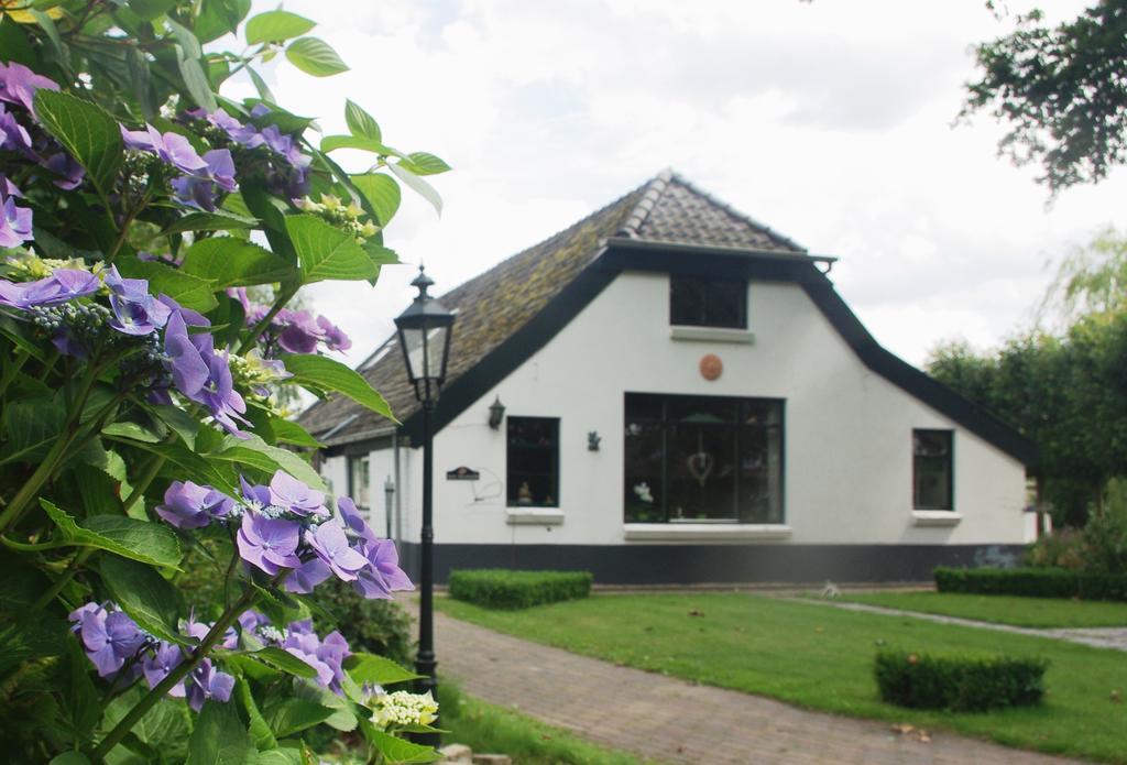 Bed&Breakfast 'T Eikeltje Hollandscheveld ภายนอก รูปภาพ